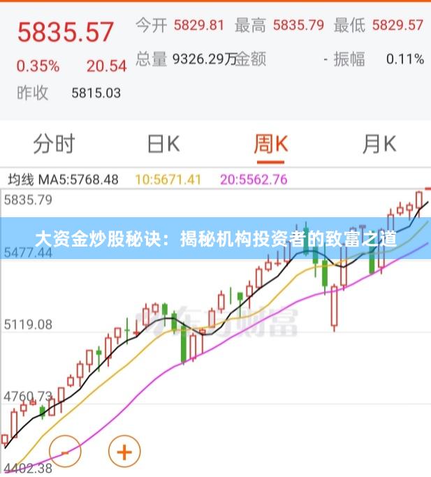 大资金炒股秘诀：揭秘机构投资者的致富之道